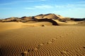 Sand desert in Sahara Royalty Free Stock Photo