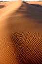 The sand in the desert Sahara