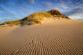 Sand desert during sunset in the Slowinski National Park in Poland. Royalty Free Stock Photo