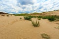 Sand desert view Royalty Free Stock Photo