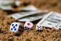 In the sand, dice, a few dollars in the background Royalty Free Stock Photo