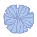 Sand dollar fossil vector illustration for decoration on marine life and coastal . Royalty Free Stock Photo