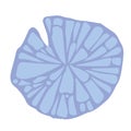 Sand dollar fossil vector illustration for decoration on marine life and coastal. Royalty Free Stock Photo