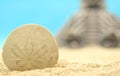 Sand Dollar and Pyramid on Beach, Shallow DOF Royalty Free Stock Photo