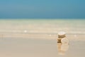 Sand Dollar stack Royalty Free Stock Photo