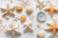 Sand dollars, puka shells, sea urchins, tiny seashells, fossil coral, and white starfish sea stars. Royalty Free Stock Photo