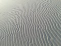 Sand drawn by the wind on the beach