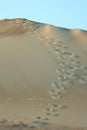 Sand dune Royalty Free Stock Photo