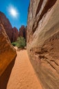 Sand Dune Arch trail in Arches National park, Utah Royalty Free Stock Photo