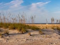 Sand dune and beach at Anastasia State Park in St Augustine Florida in the golden hour light with a bright blue and cloudy sky. Royalty Free Stock Photo