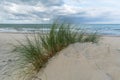 Sand dune with beach grass Royalty Free Stock Photo