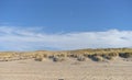 Sand dune with beach grass Royalty Free Stock Photo