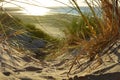 Sand dune , beach grass and sea Royalty Free Stock Photo