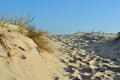 Sand dune Royalty Free Stock Photo