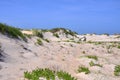 Sand Dune in Cape Hatteras, North Carolina Royalty Free Stock Photo