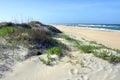 Sand Dune in Cape Hatteras, North Carolina Royalty Free Stock Photo