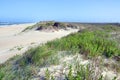 Sand Dune in Cape Hatteras, North Carolina Royalty Free Stock Photo