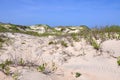 Sand Dune in Cape Hatteras, North Carolina Royalty Free Stock Photo