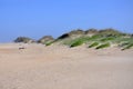 Sand Dune in Cape Hatteras, North Carolina Royalty Free Stock Photo