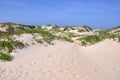 Sand Dune in Cape Hatteras, North Carolina Royalty Free Stock Photo