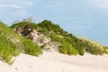 Sand Dune Covered in Beach Grass on Outer Banks Royalty Free Stock Photo