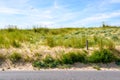 A sand dune covered with wild grasses, protected by a wire fence along the seaside road Royalty Free Stock Photo