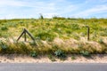 A sand dune covered with wild grasses, protected by a wire fence along the seaside road Royalty Free Stock Photo