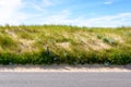 A sand dune covered with wild grasses, protected by a wire fence along the seaside road Royalty Free Stock Photo