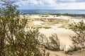 Sand dune in Curonian Gulf Royalty Free Stock Photo