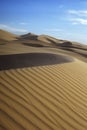 Sand Dune Curves Mexico Wild