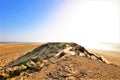 Sand dune at Dakhla lagoon Royalty Free Stock Photo