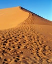 Sand dune in desert Royalty Free Stock Photo