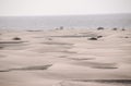 Sand Dune Desert in Maspalomas Royalty Free Stock Photo