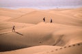 Sand Dune Desert in Maspalomas Royalty Free Stock Photo