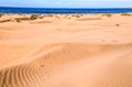 Sand Dune Desert in Maspalomas Royalty Free Stock Photo