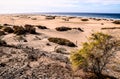 Sand Dune Desert in Maspalomas Royalty Free Stock Photo