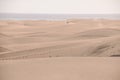 Sand Dune Desert in Maspalomas Royalty Free Stock Photo