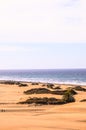 Sand Dune Desert in Maspalomas Royalty Free Stock Photo