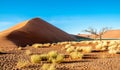 Sand Dune in Desert Royalty Free Stock Photo
