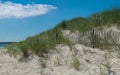 Sand Dune Erosion Fence Royalty Free Stock Photo