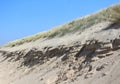 Sand Dune Erosion