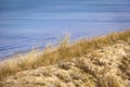 Sand Dune with European Beachgrass