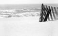 Sand Dune Fence on Beach Royalty Free Stock Photo