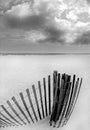 Sand Dune Fence on Beach Royalty Free Stock Photo