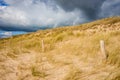 Sand dune and fence on a beach, Re Island, France Royalty Free Stock Photo