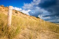 Sand dune and fence on a beach, Re Island, France Royalty Free Stock Photo
