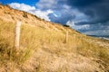 Sand dune and fence on a beach, Re Island, France Royalty Free Stock Photo