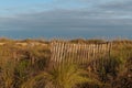 Sand Dune Fences For Environment Protection Royalty Free Stock Photo