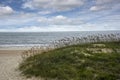 Sand Dune on Fernandina Beach, Florda