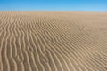 Sand dune in gran canaria